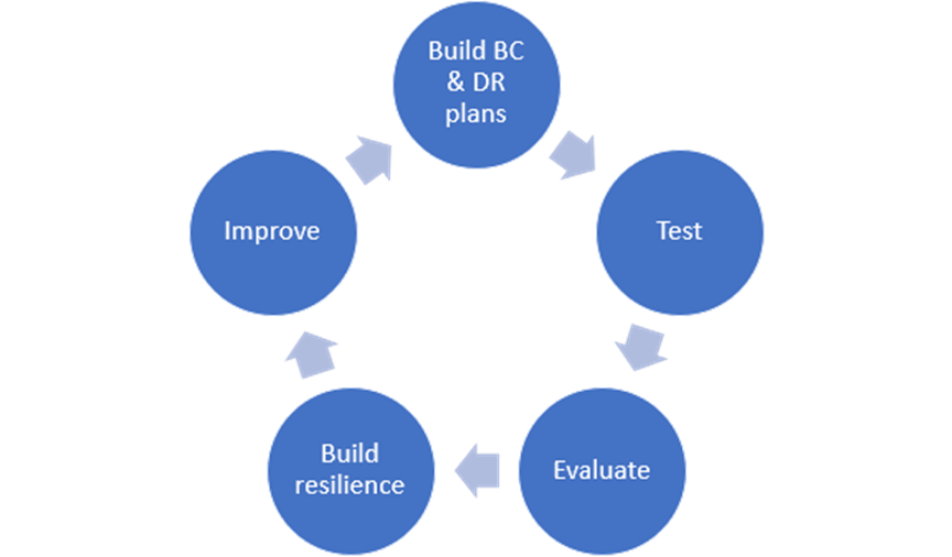 BC and DR plan cycle