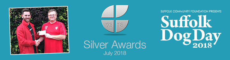 Silver Awards