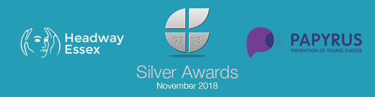 Silver Awards