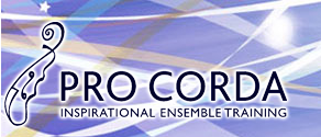 Silver Award for Pro Corda